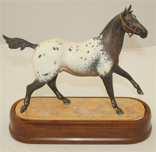 A Royal Worcester model of an Appaloosa Stallion, modelled by Doris Lindner, c.1969, 26cm